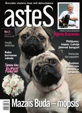 ASTES 2008.07 — Nr. 07