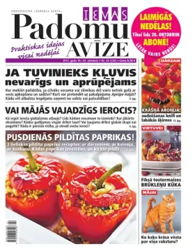 IEVAS PADOMU AVĪZE — Nr. 42