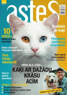 ASTES — Nr. 4