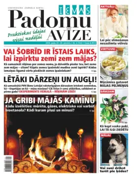 IEVAS PADOMU AVĪZE — Nr. 04