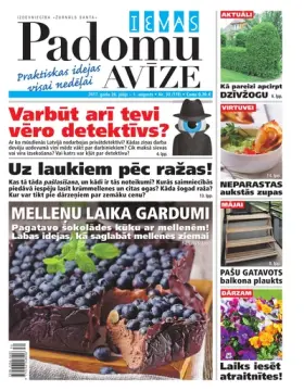 IEVAS PADOMU AVĪZE — Nr. 30