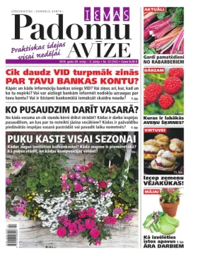 IEVAS PADOMU AVĪZE — Nr. 22