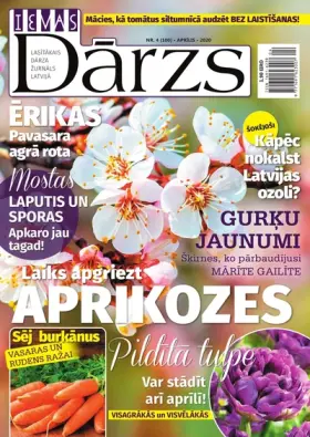 IEVAS DĀRZS — Nr. 04