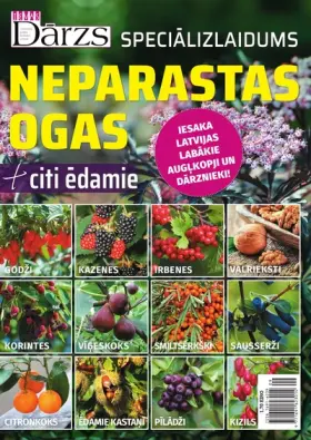 NEPARASTAS OGAS 2021