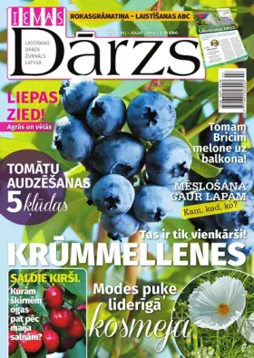 IEVAS DĀRZS — Nr. 07