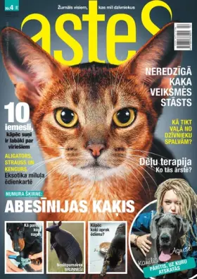 ASTES — Nr. 4