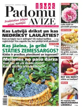 IEVAS PADOMU AVĪZE — Nr. 19