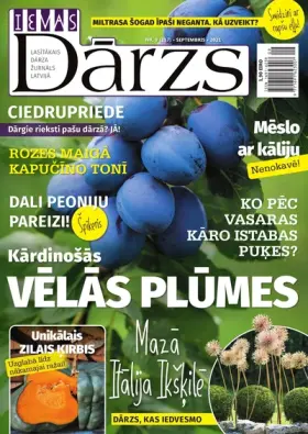 IEVAS DĀRZS — Nr. 09