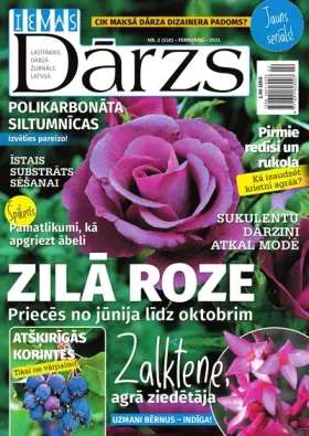 IEVAS DĀRZS — Nr. 02