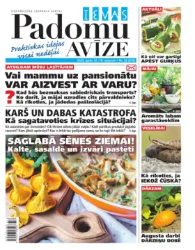 IEVAS PADOMU AVĪZE — Nr. 32