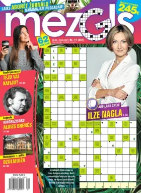 MEZGLS — Nr. 11