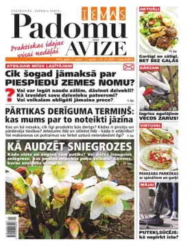 IEVAS PADOMU AVĪZE — Nr. 13