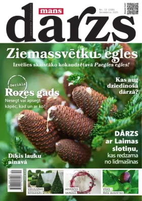 MANS DĀRZS — Nr. 12