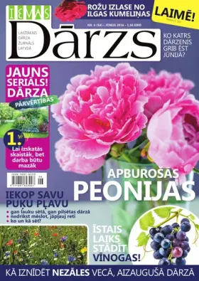 IEVAS DĀRZS — Nr. 06