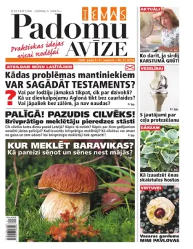 IEVAS PADOMU AVĪZE — Nr. 31