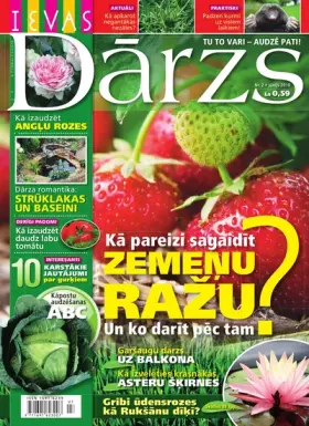 IEVAS DĀRZS — Nr. 2