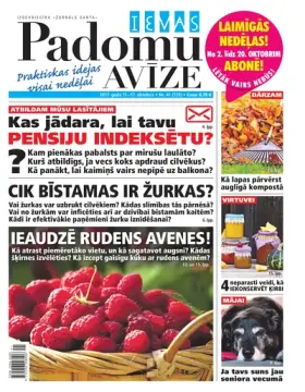 IEVAS PADOMU AVĪZE — Nr. 41