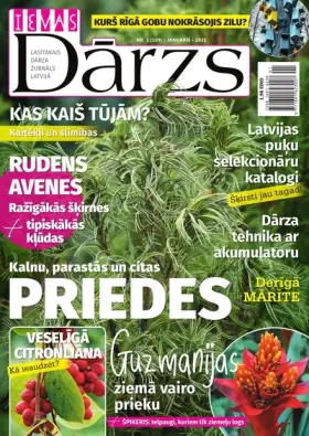 IEVAS DĀRZS — Nr. 01