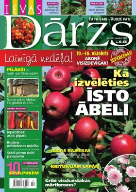 IEVAS DĀRZS — Nr. 6