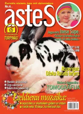 ASTES 2009.04 — Nr. 04