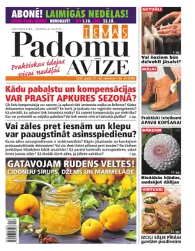 IEVAS PADOMU AVĪZE — Nr. 41