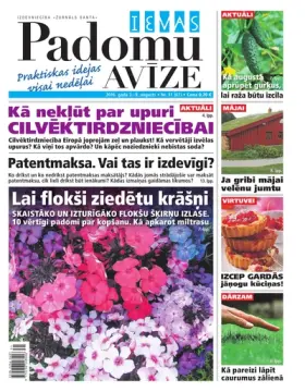 IEVAS PADOMU AVĪZE — Nr. 31