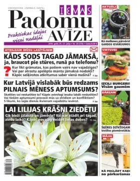 IEVAS PADOMU AVĪZE — Nr. 30