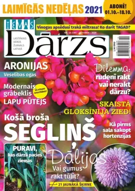 IEVAS DĀRZS — Nr. 10