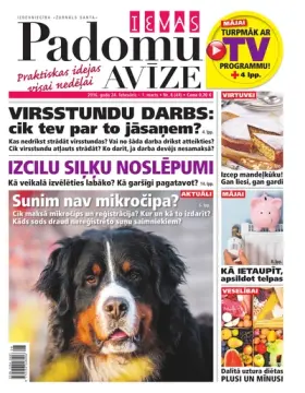 IEVAS PADOMU AVĪZE — Nr. 08
