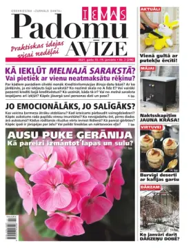IEVAS PADOMU AVĪZE — Nr. 02