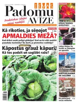 IEVAS PADOMU AVĪZE — Nr. 15