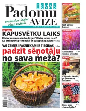 IEVAS PADOMU AVĪZE — Nr. 12