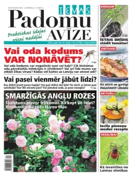 IEVAS PADOMU AVĪZE — Nr. 20