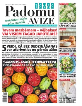 IEVAS PADOMU AVĪZE — Nr. 19