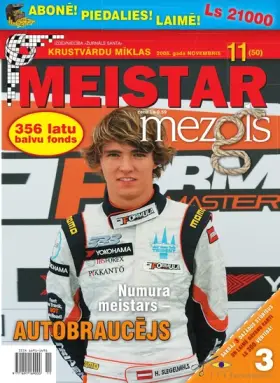 MEISTARMEZGLS — Nr. 11