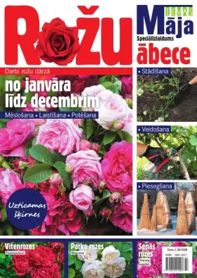 PAR ROZĒM
