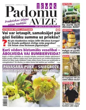 IEVAS PADOMU AVĪZE — Nr. 11