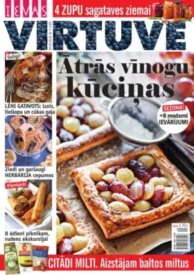 IEVAS VIRTUVE — Nr. 09