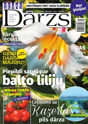 IEVAS DĀRZS — Nr. 01