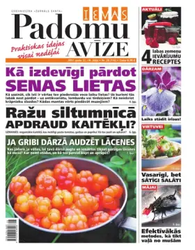 IEVAS PADOMU AVĪZE — Nr. 28