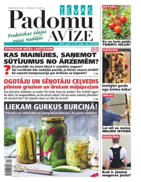 IEVAS PADOMU AVĪZE — Nr. 29