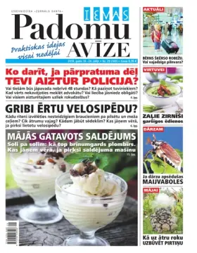 IEVAS PADOMU AVĪZE — Nr. 29