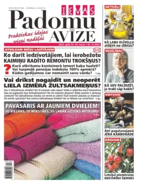 IEVAS PADOMU AVĪZE — Nr. 12