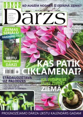 IEVAS DĀRZS — Nr. 01