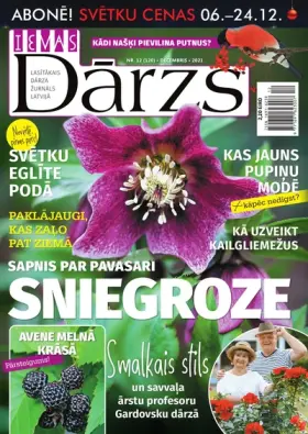 IEVAS DĀRZS — Nr. 12