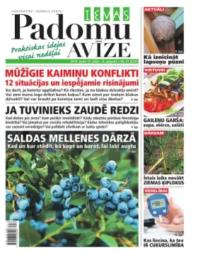 IEVAS PADOMU AVĪZE — Nr. 31
