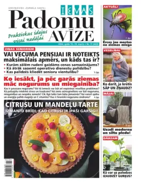 IEVAS PADOMU AVĪZE — Nr. 11