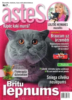 ASTES — Nr. 07