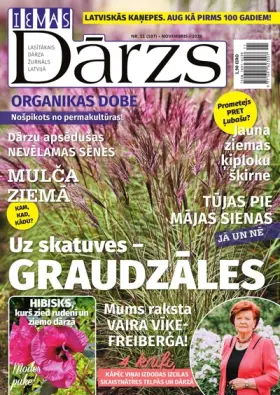 IEVAS DĀRZS — Nr. 11
