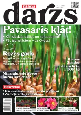 MANS DĀRZS — Nr. 03
